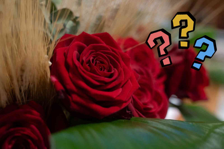 El truco que nadie te contó: haz que la rosa de Sant Jordi dure semanas