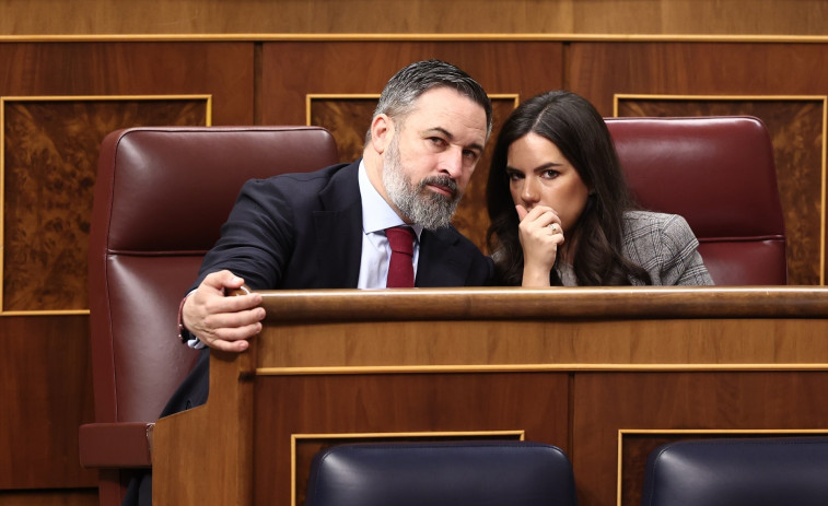 El Tribunal de Cuentas multa a Vox con 862.000 euros por recibir donaciones irregulares