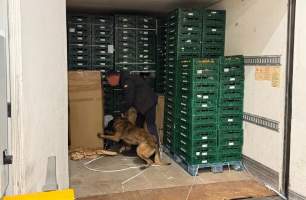 Catalunyapress mossoscamiodroga