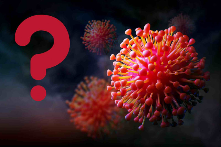 ¿Y si el Covid no nació en Wuhan? Un nuevo estudio cambia todo lo que creíamos sobre el origen del virus