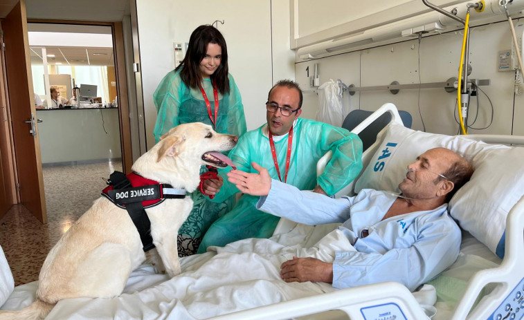 ¡Reencuentros que curan el alma! Pacientes hospitalizados podrán abrazar a sus perros en Girona