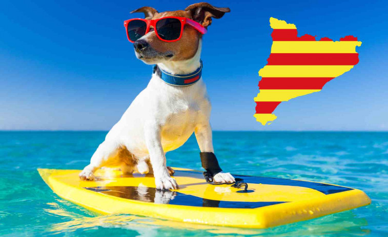 La lista definitiva: Estas son las 51 playas de Catalunya donde puedes ir con tu perro este verano