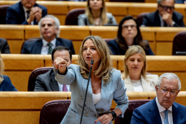 El PP elimina en la disolución de asociaciones franquistas y se centra en penalizar el enaltecimiento de ETA