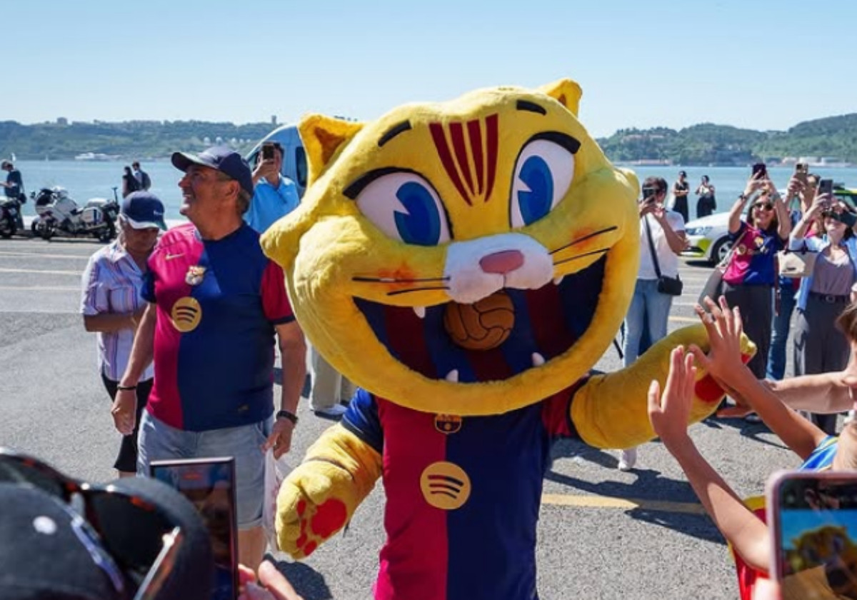 Catalunyapress cat