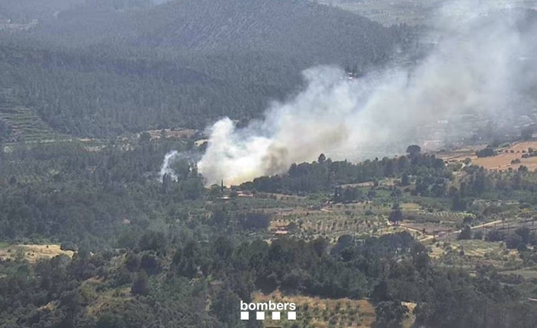 Hasta 6 dotaciones de Bombers trabajan para extinguir un incendio de vegetación en Marçà