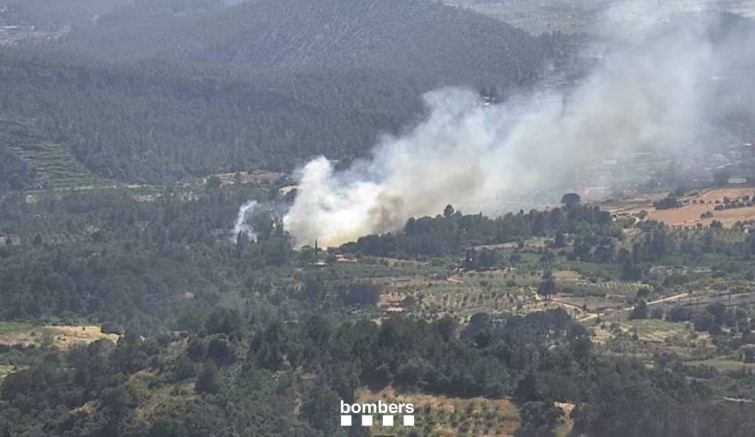 Hasta 6 dotaciones de Bombers trabajan para extinguir un incendio de vegetación en Marçà