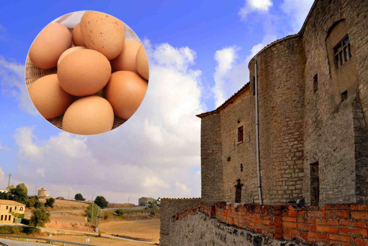 Huevos, Sant Guim de Freixenet   CANVA   WIKIPEDIA