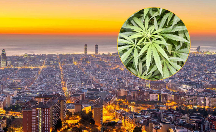 Cae el primer club cannábico de Barcelona: precintado tras vender sustancias pese a la prohibición