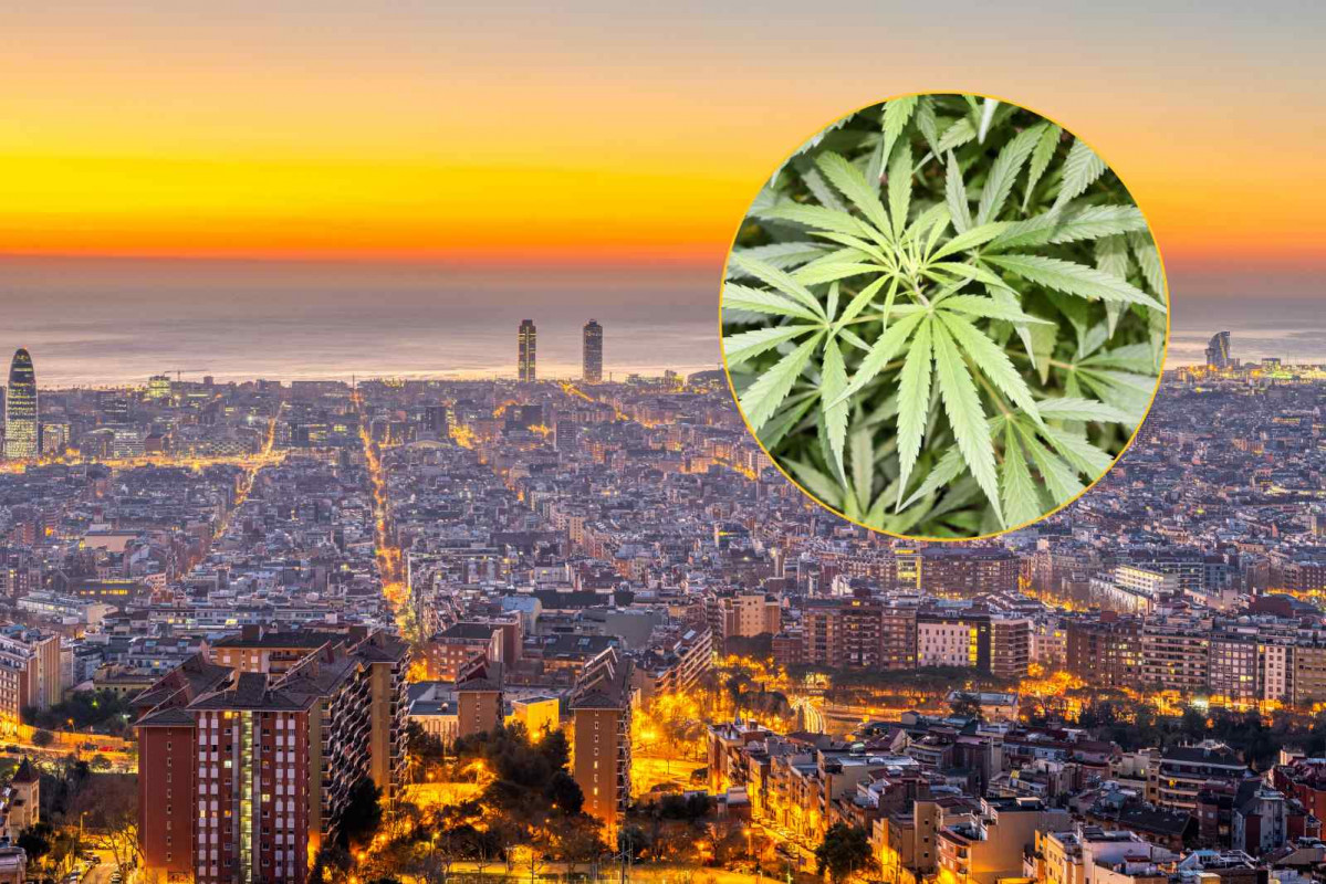 Barcelona, marihuana