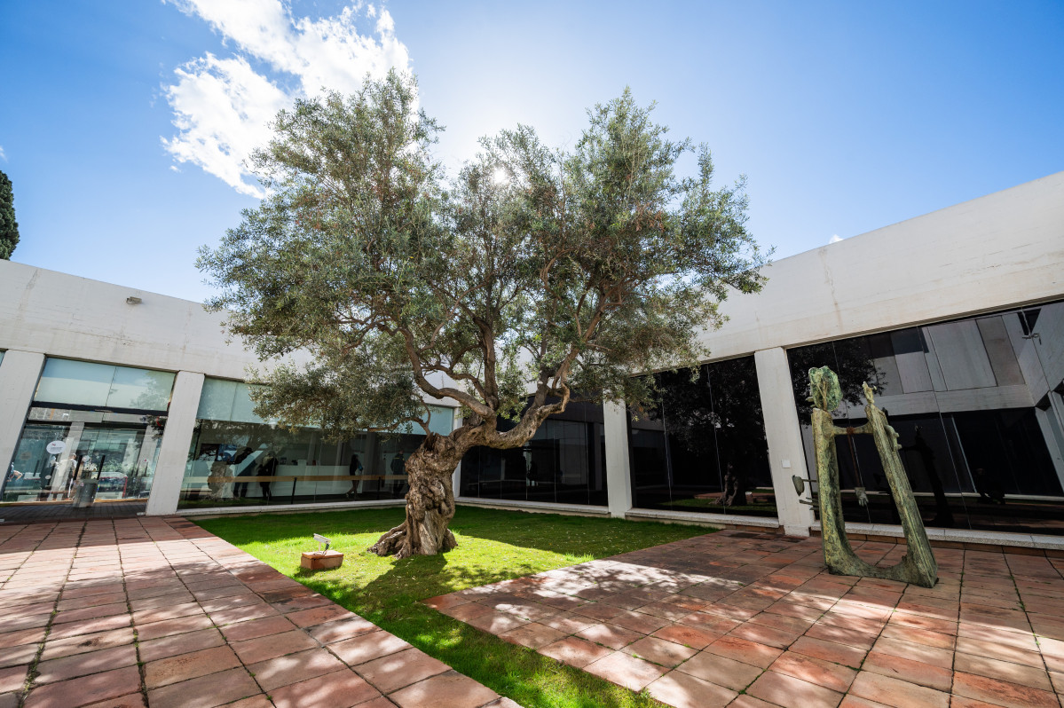 Fmiro240323 151