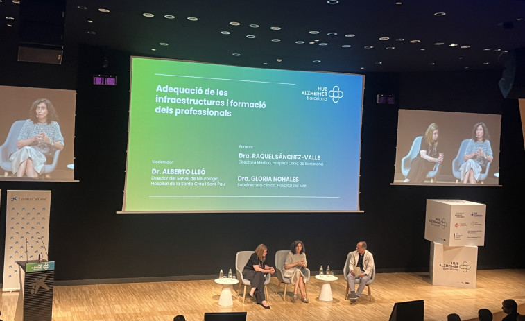 Los expertos alertan en el HUB Alzheimer: “Estamos ante un diamante en bruto, pero el sistema debe estar preparado”
