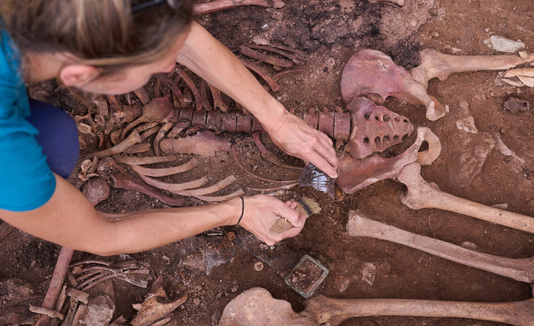 Recuperados los restos de 4 víctimas del franquismo en Castellnou de Bages