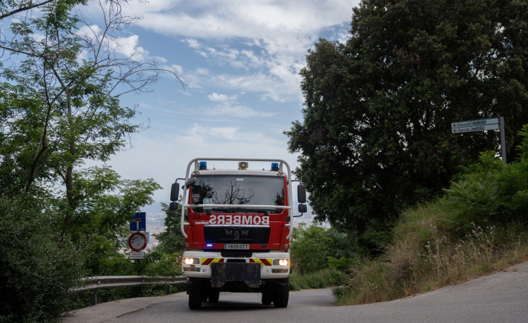 Bombers trabaja en un incendio en una zona boscosa de Santa Coloma de Gramenet