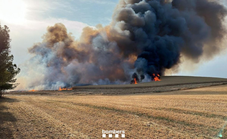 Controlado el incendio en un campo de cereales en Oliola tras más de tres horas de trabajo