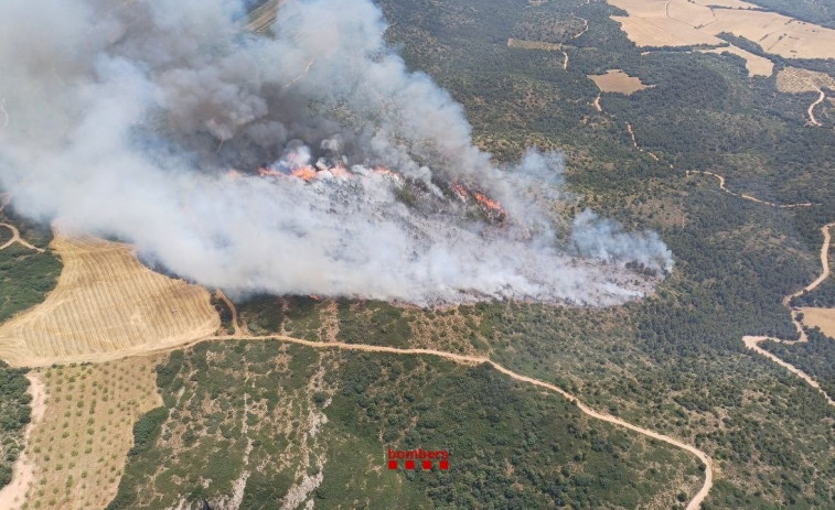 Bombers trabaja en un incendio de vegetación en Os de Balaguer