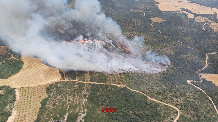 Bombers trabaja en un incendio de vegetación en Os de Balaguer