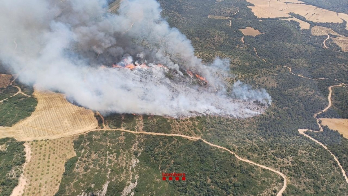 EuropaPress 6812832 incendio vegetacion agricola forestal os balaguer lleida