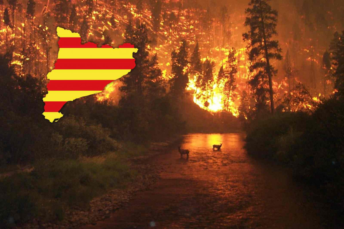 Incendio, Catalunya