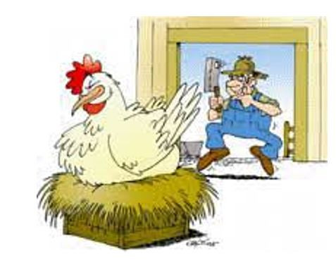 Gallina