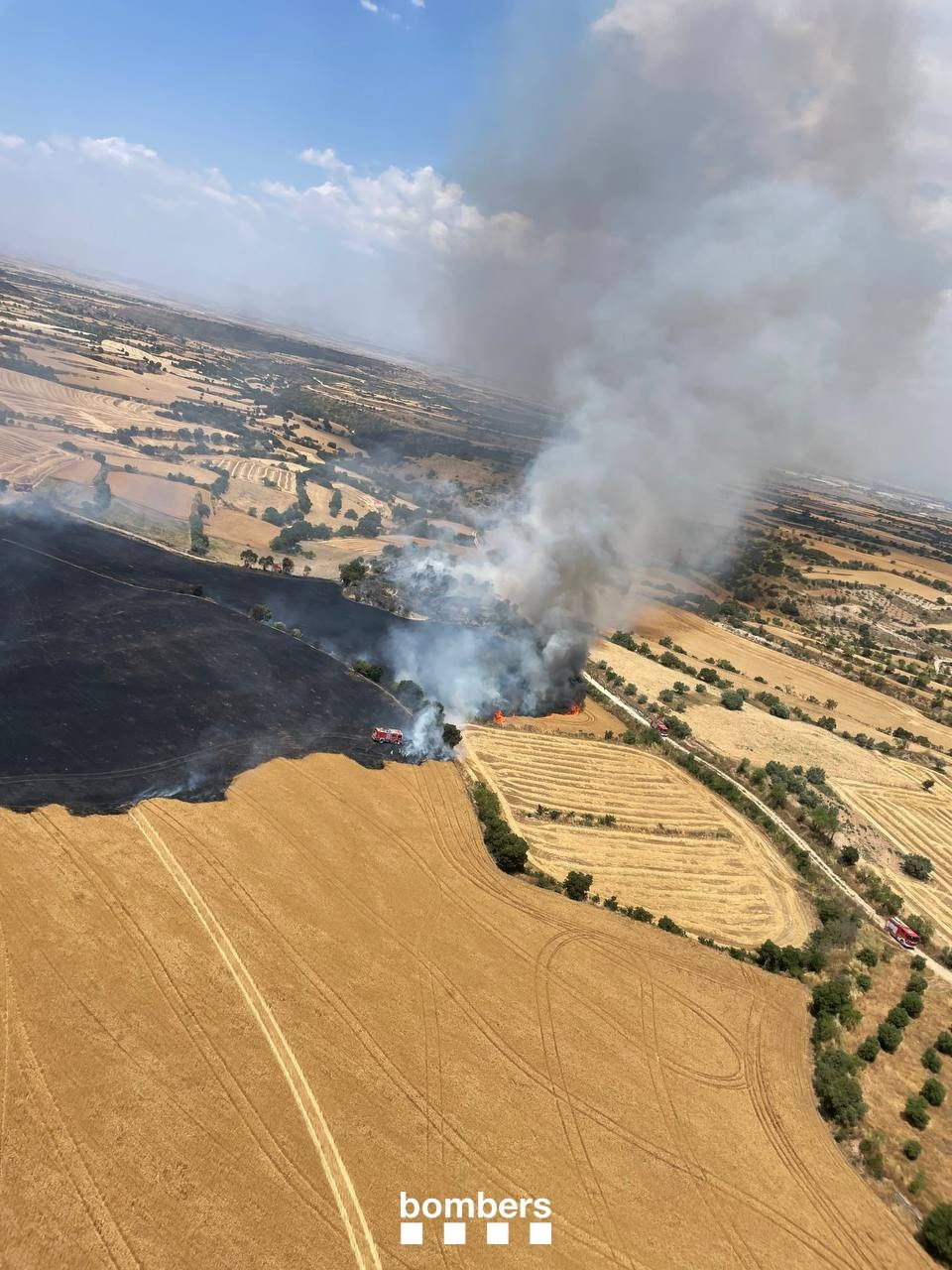 Incendio agrícola en Granyena de Segarra (Lleida)