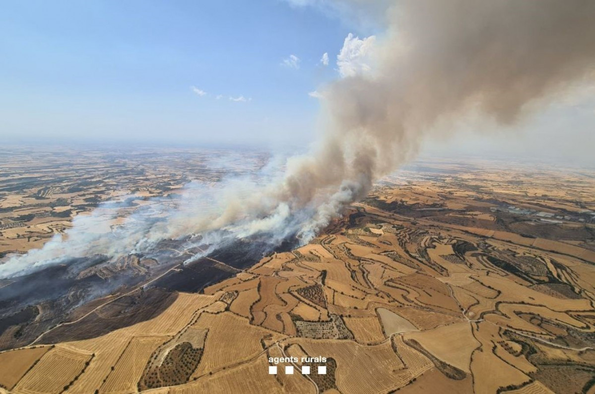 EuropaPress 6815133 incendio granyena segarra lleida