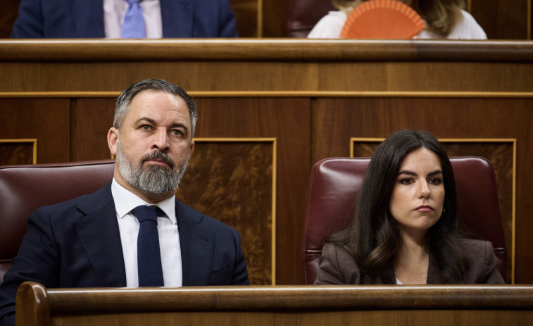 Vox culpa al PP y a los magistrados conservadores del TC del aval a la amnistía