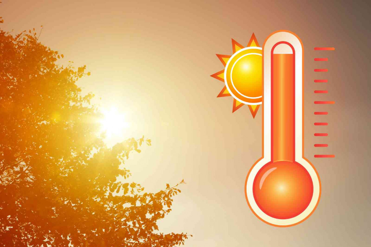 Calor   CANVA