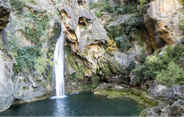 Gorga del moli