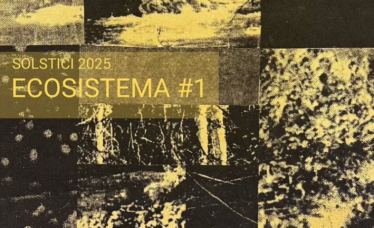 'Ecosistema 1' abre el ciclo Solsticio 25 a Tecla Sala, repensando el arte desde la sostenibilidad