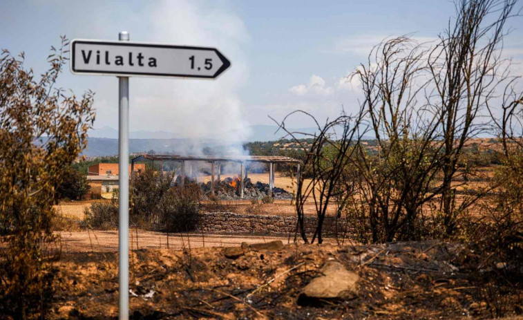 La Generalitat intervendrá para evitar que la masa forestal provoque más incendios