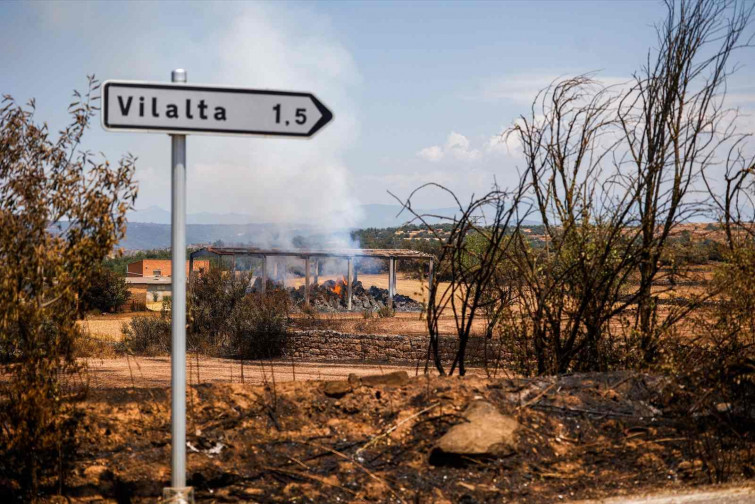 La Generalitat intervendrá para evitar que la masa forestal provoque más incendios
