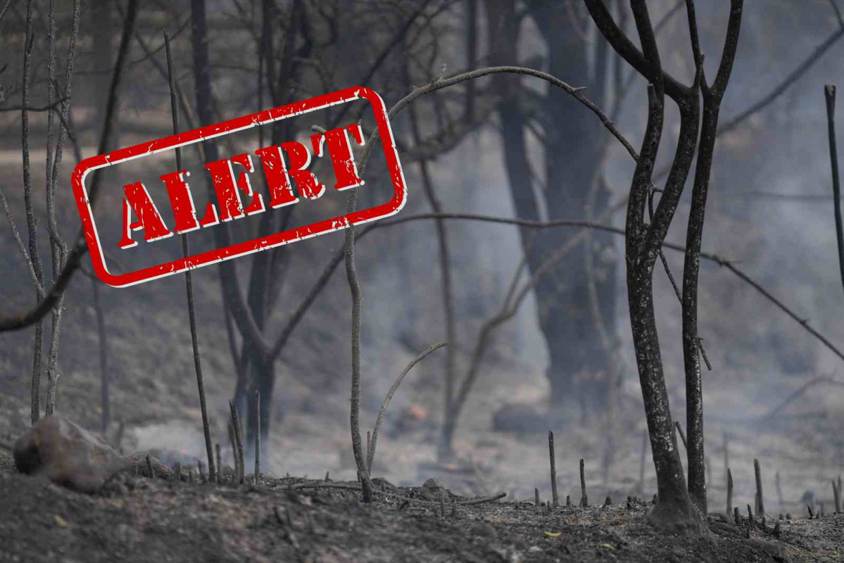Restos del incendio de Paüls en la carretera de Aldover, a 8 de julio de 2025, en Aldover, Tarragona, Cataluña (España)