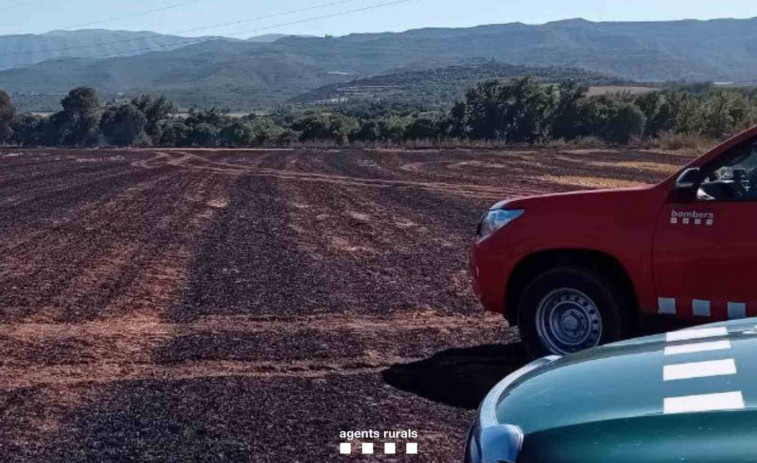 Controlado un incendio agrícola en Tremp que ha quemado 5,5 hectáreas en Palau de Noguera
