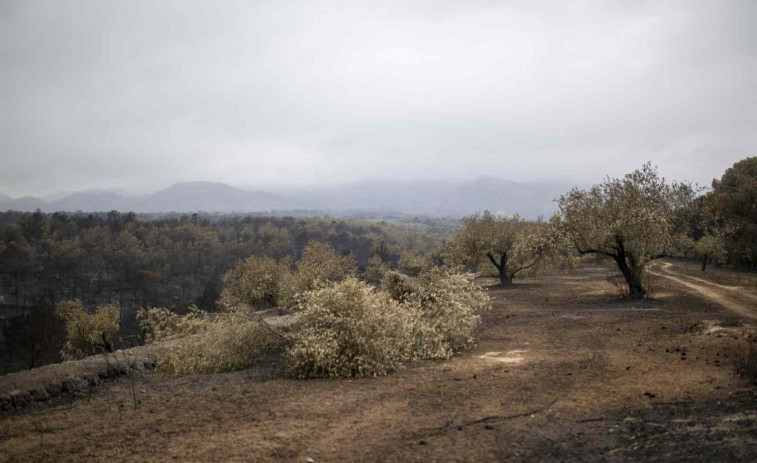 Un bombero muere tras caer por un barranco mientras trabajaba para extinguir el incendio de Paüls