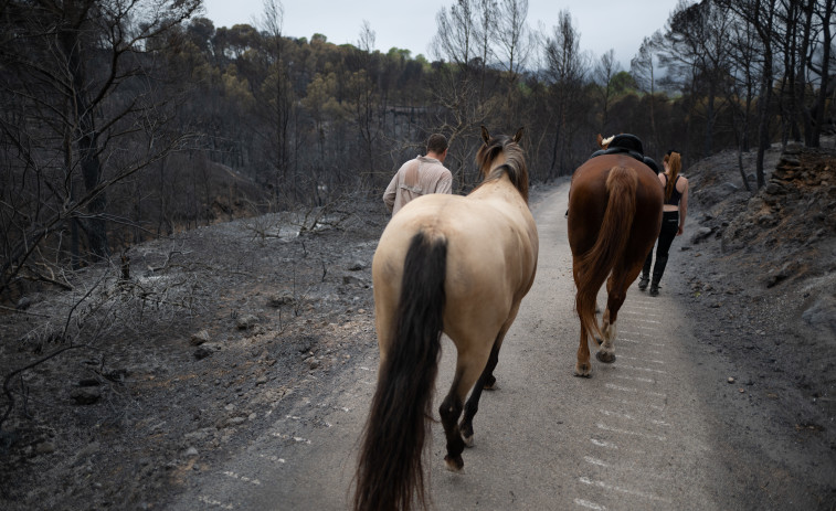 El Govern viajará a los municipios afectados por el incendio de Paüls para escuchar a los vecinos