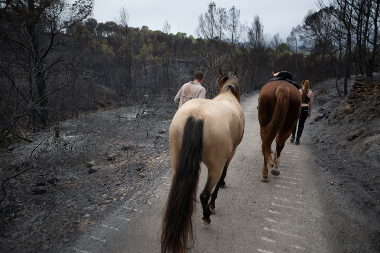 El Govern viajará a los municipios afectados por el incendio de Paüls para escuchar a los vecinos