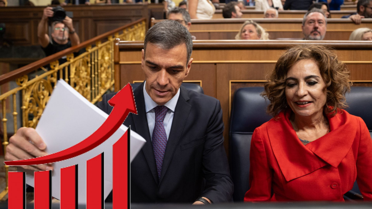 NO SORTIR A LA TERRASSA, HI HA AVESPES (6)
