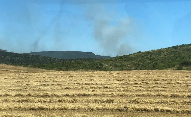 Los Bombers avanzan en la extinción de un incendio de baja gravedad en Bellprat