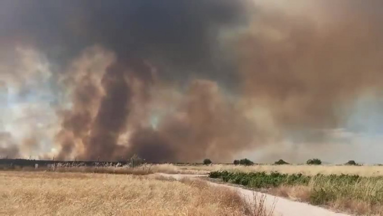 Vídeo: Así se ve el incendio que ha confinado a 2.500 vecinos de Cassarrubios del Monte, en Toledo
