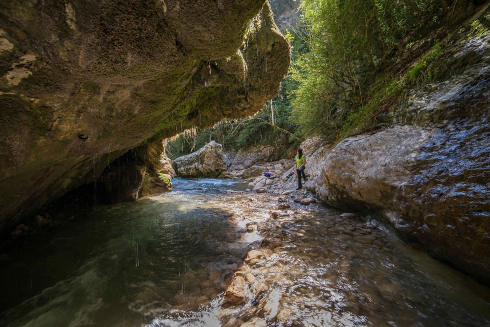 B5168fb9 8089 472a a26b c6cafd65