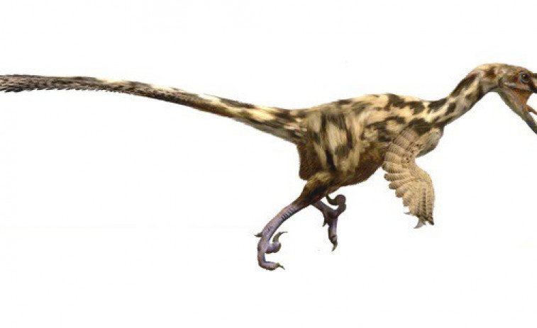 Hallan sorprendente diversidad de dinosaurios carnívoros en los Pirineos antes de su extinción