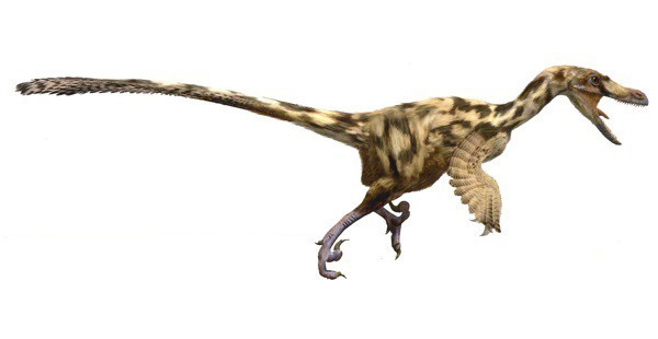 Hallan sorprendente diversidad de dinosaurios carnívoros en los Pirineos antes de su extinción