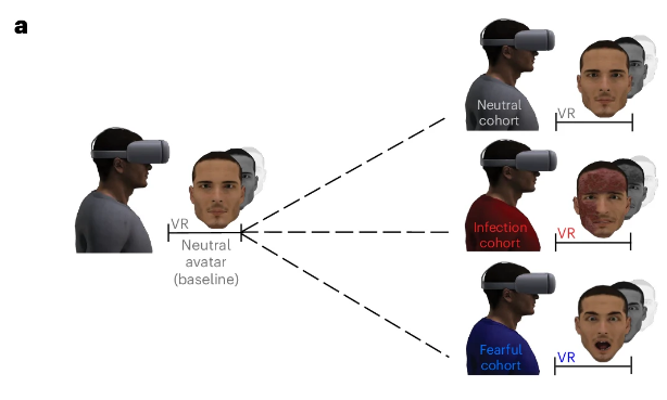 ¿Puede la realidad virtual  fortalecer tu Inmunidad? Un estudio revela sorprendentes respuestas biológicas
