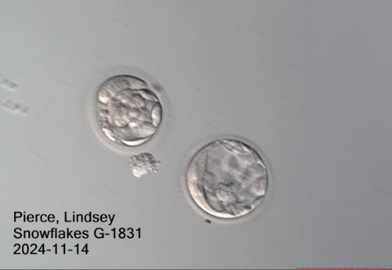 Screenshot 28