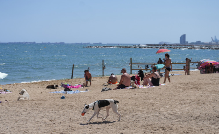 Una mujer de 81 años muere en una playa de Llançà, la víctima 17 en el litoral catalán este verano
