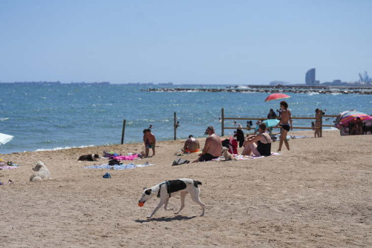 Una mujer de 81 años muere en una playa de Llançà, la víctima 17 en el litoral catalán este verano