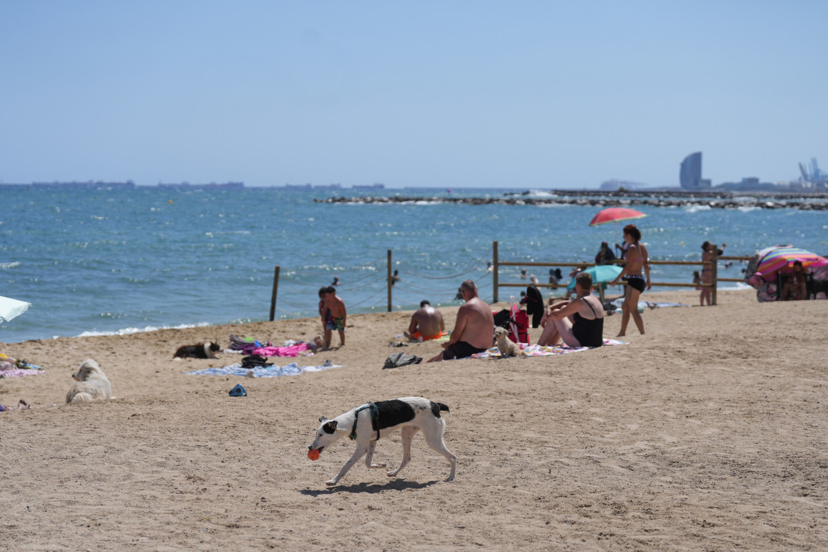 Playa barcelonesa de Llevant este verano