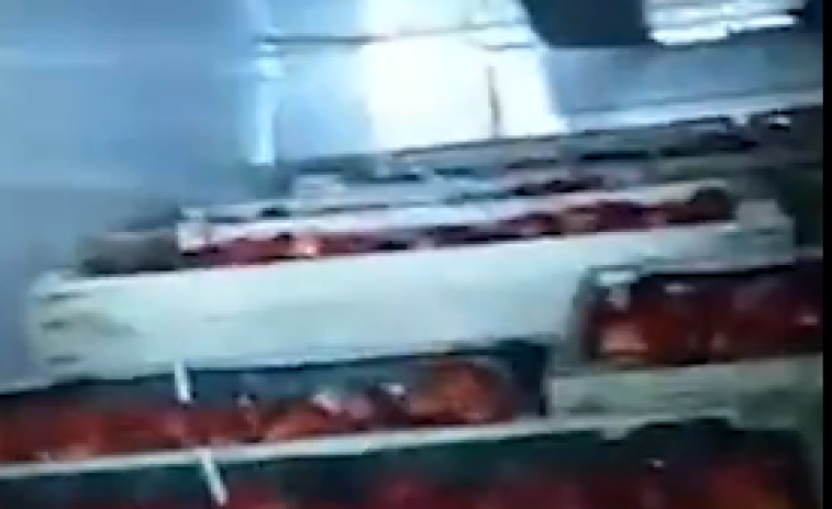 VIDEO:el camuflaje de fruta no funciona: detienen a un camionero con 418 kg de droga