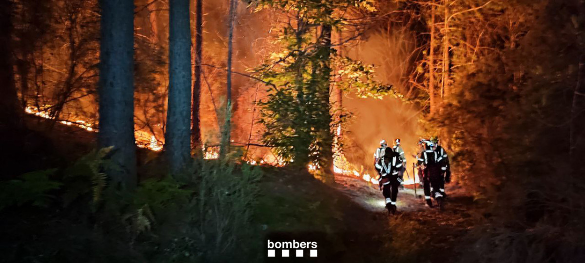 Fuego Amer