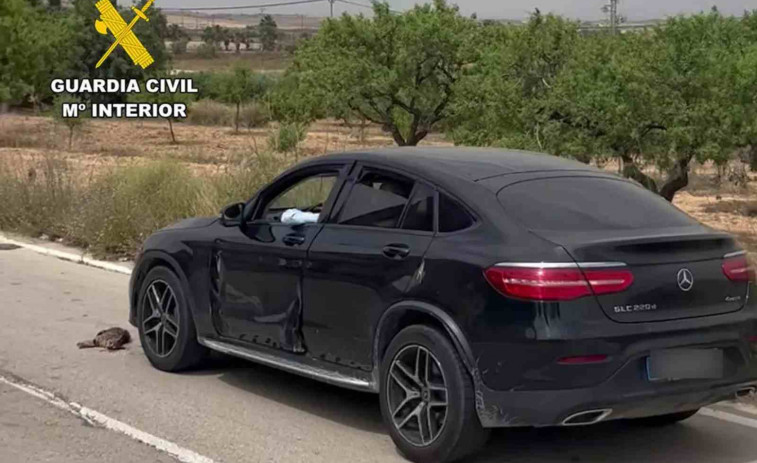 Crueldad animal: lanza a un gato desde un coche en movimiento y lo atropella varias veces en Murcia